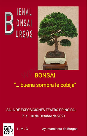 Cartel de la exposición bienal de bonsái Burgos