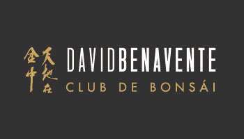 Club de bonsái de David Benavente