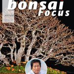 Bonsai Focus 46 Edición Español