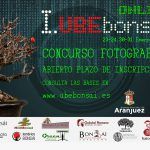 Concurso fotográfico I UBE online