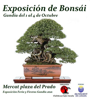 Exposición Club Bonsai Safor Gandia