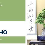 Curso World Bonsái Universitu(WBU): Hasho, el espíritu del bonsái