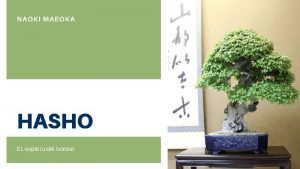 Curso World Bonsái Universitu(WBU): Hasho, el espíritu del bonsái