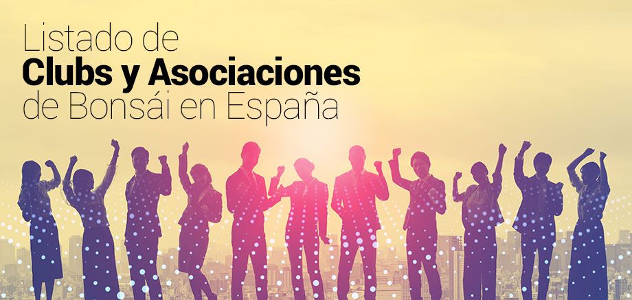 Listado de Clubs y Asociaciones de Bonsái en España